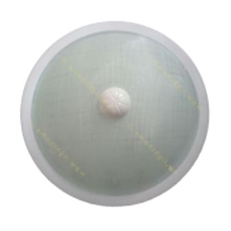 چراغ سقفی سنسوردار ABS بالاستیران